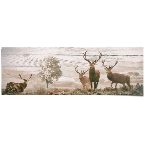 8714597512236 - Poster REINDERS Hirsche bunt (farbe bild(er) mehrfarbig) B158cm H53cm Papier Bilder