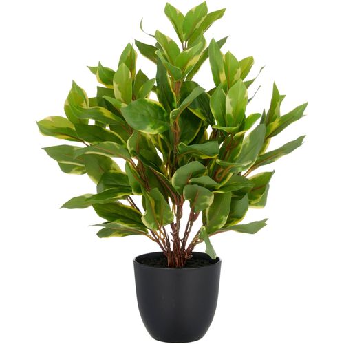 4064118352648 - Kunstpflanze CREATIV GREEN Epipremnum aureum grün H40cm Kunststoff Kunstpflanzen mit schönem Blattwerk