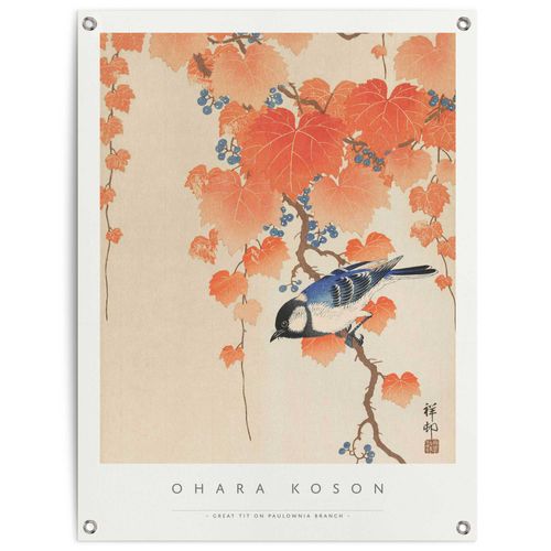 8714597638868 - Poster REINDERS Ohara Koson Great tit orange (farbe bild(er) orange) B60cm H80cm T01cm Leinwand Bilder Outdoor für Garten oder Balkon