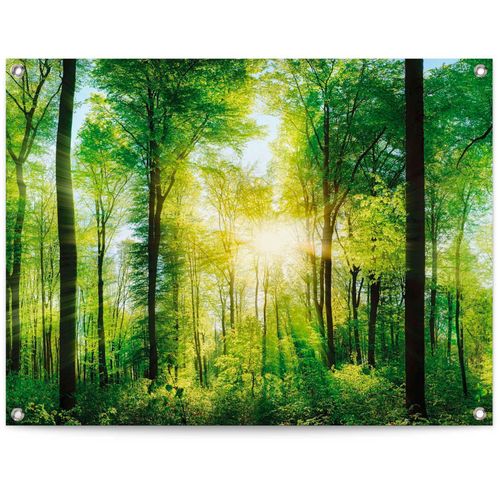 8714597628234 - Poster REINDERS Sommerwald grün (farbe bild(er) grün) B80cm H60cm T01cm Leinwand Bilder