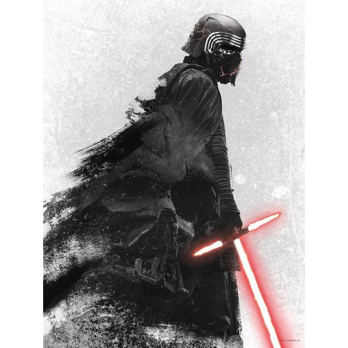 4055065164972 - Bild KOMAR Star Wars EP9 Kylo Vader Shadow bunt (farbe bild(er) bunt) B30cm H40cm Holz Papier Bilder Wandbild zur Dekoration im Kinderzimmer - ohne Rahmen