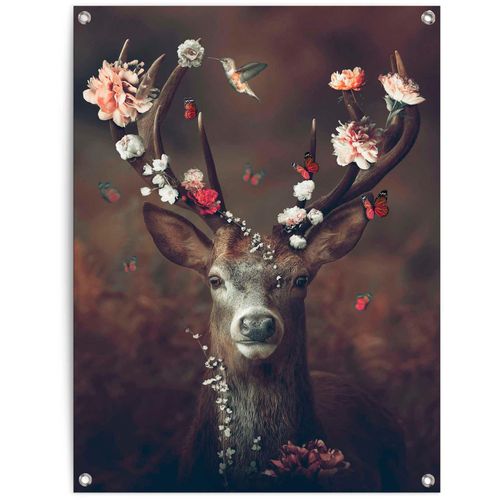 8714597628128 - Poster REINDERS Hirsch braun (farbe bild(er) braun) B60cm H80cm T01cm Leinwand Bilder