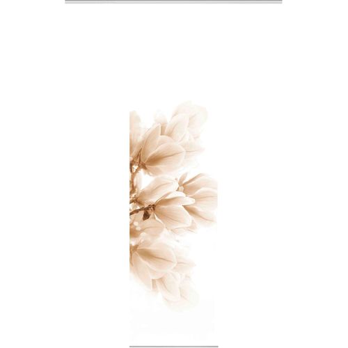 4056751483643 - Schiebegardine HEINE HOME beige (sand weiß) B60cm H245cm Polyester Gardinen 4056751483643 - Schiebegardine HEINE HOME beige (sand weiß) B60cm H245cm Polyester Gardinen