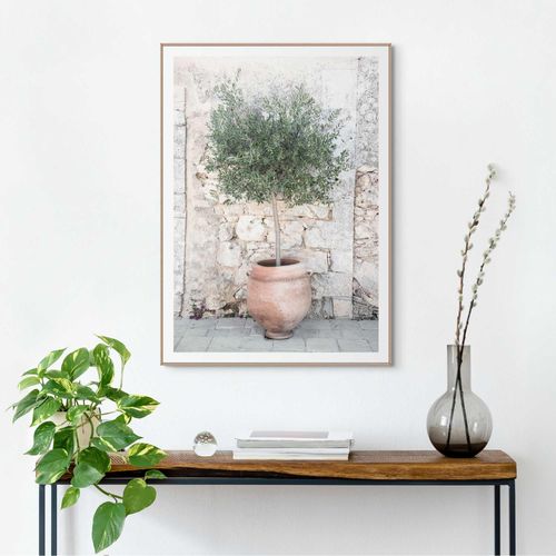8714597655247 - Bild mit Rahmen REINDERS Olive Tree grün (farbe bild(er) grün) B50cm H70cm T22cm Holzwerkstoff Bilder