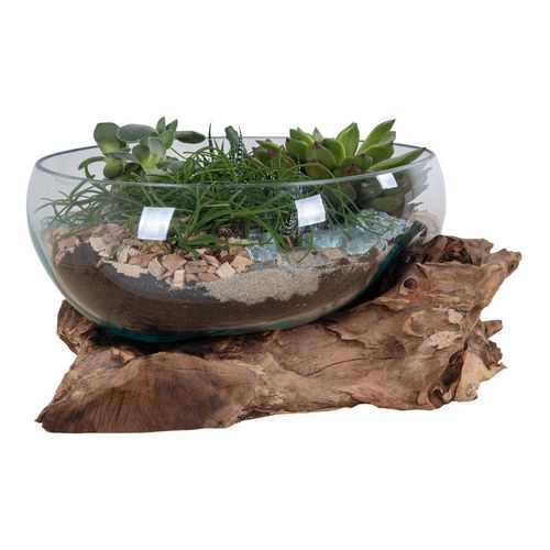 5713917002658 - Dekoschale Klar Teak Holz Glas Teakholz bauchig 20 cm Dekoration Dekoartikel Dekoteller & -tabletts 5713917002658 - Dekoschale Klar Teak Holz Glas Teakholz bauchig 20 cm Dekoration Dekoartikel Dekoteller & -tabletts