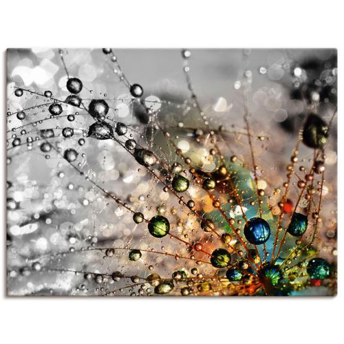 4059745926737 - Wandbild ARTLAND Farbenfrohe Natur Bilder Gr B H 60 cm x 45 cm Leinwandbild Blumen Querformat 1 St bunt Bild Poster Bilder als Alubild Leinwandbild Wandaufkleber oder in versch Größen