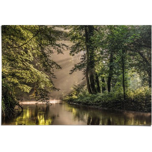 8714597575798 - Poster REINDERS Lichtspiel am Waldsee grün (farbe bild(er) grün) B915cm H61cm Papier Bilder