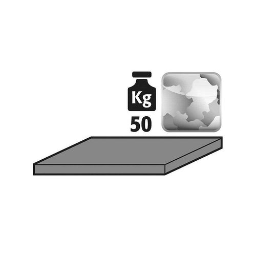 4250101134982 - asecos Fachboden zusätzlich für Schrankbreite 545 mm verzinkt