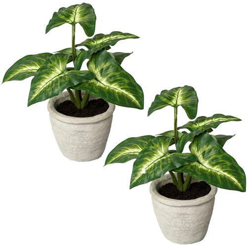 4064118895862 - Künstliche Zimmerpflanze CREATIV GREEN Blattpflanze Syngonium Kunstpflanzen Gr B H 15 cm x 20 cm 2 St grün Künstliche Zimmerpflanzen im Zementtopf 2er Set