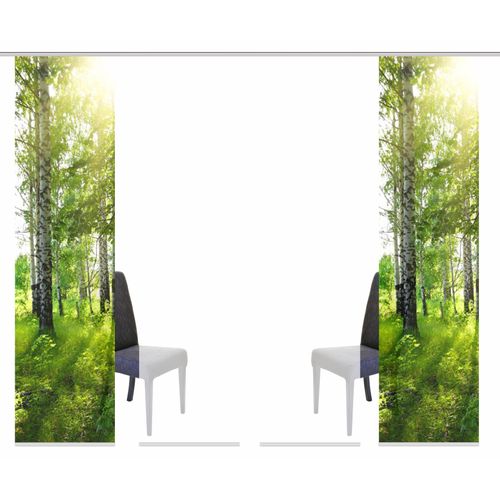 4056751137119 - Schiebegardine HOME WOHNIDEEN GALWAY Gardinen grün Fertiggardine Flächenvorhang Gardine Plissee Sonnenschutz-Plissee Übergardine Vorhang nach Räumen HxB 245x60 inkl Befestigungszubehör 4056751137119 - Schiebegardine HOME WOHNIDEEN GALWAY Gardinen grün Fertiggardine Flächenvorhang Gardine Plissee Sonnenschutz-Plissee Übergardine Vorhang nach Räumen HxB 245x60 inkl Befestigungszubehör