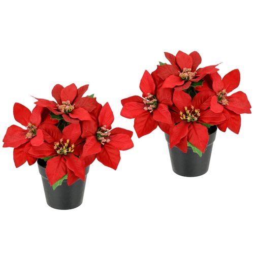 4019844798833 - Kunstblume IGEA Poinsettia im Topf rot B16cm H17cm L16cm Polyester Kunstpflanzen 2er Set Künstliche Blume Weihnachtsstern Christstern Weihnachtsdeko 4019844798833 - Kunstblume IGEA Poinsettia im Topf rot B16cm H17cm L16cm Polyester Kunstpflanzen 2er Set Künstliche Blume Weihnachtsstern Christstern Weihnachtsdeko
