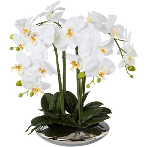 4064118136927 - Kunstorchidee CREATIV GREEN Deko-Orchidee Phalaenopsis in Keramikschale weiß B28cm H41cm T30cm Obermaterial 95% Polyethylen 5% Polyester Kunstpflanzen