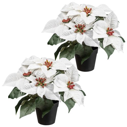 4064118284659 - Winterliche Kunstpflanze CREATIV GREEN Weihnachtsstern weiß H26cm Kunststoff Kunstpflanzen mit üppigem Blütenwerk 4064118284659 - Winterliche Kunstpflanze CREATIV GREEN Weihnachtsstern weiß H26cm Kunststoff Kunstpflanzen mit üppigem Blütenwerk