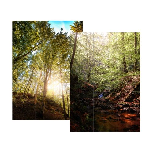 4251312965532 - Paravent Wald