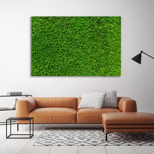 4067437130317 - XXL-Wandbild QUEENCE Akustikbild Moos Moosbild farbe bild(er) grün B120cm H80cm T25cm Polyester Bilder Einfache Akustiklösung ohne Baumaßnahme Schalldämmung Paneele 4067437130317 - XXL-Wandbild QUEENCE Akustikbild Moos Moosbild farbe bild(er) grün B120cm H80cm T25cm Polyester Bilder Einfache Akustiklösung ohne Baumaßnahme Schalldämmung Paneele