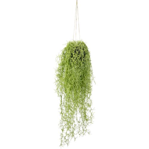4019844761561 - Kunstpflanze IGEA Mooshänger Kunstpflanzen Gr B H L 23 cm x 70 cm x 23 cm 1 St grün (hellgrün) Künstliche Zimmerpflanzen Mit Hängeampel