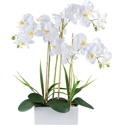 4064118240716 - Kunstorchidee CREATIV GREEN Orchidee Phalaenopsis weiß H58cm Kunststoff Kunstpflanzen mit Graszweigen arrangiert