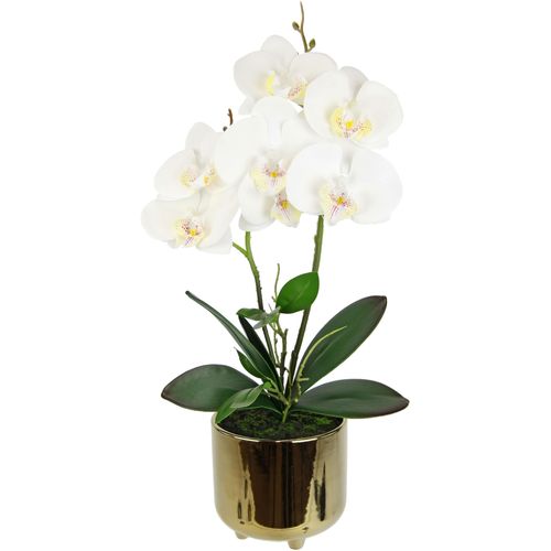 4019844796136 - Kunstblume IGEA Orchidee weiß B18cm H42cm L12cm Polyester Kunstpflanzen 4019844796136 - Kunstblume IGEA Orchidee weiß B18cm H42cm L12cm Polyester Kunstpflanzen