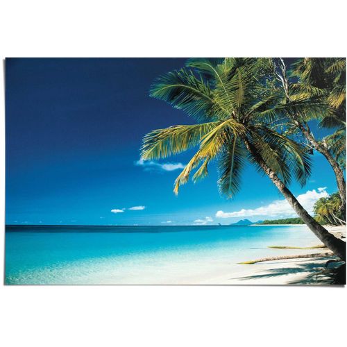 8714597310634 - Poster REINDERS Palme am Strand blau (farbe bild(er) blau) B915cm H61cm Papier Bilder