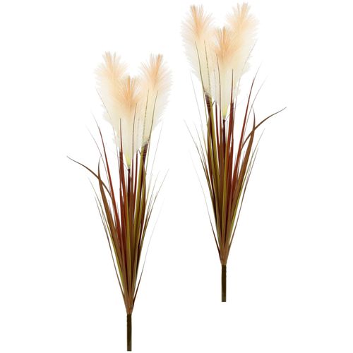 4019844783228 - Kunstblume IGEA Pampasgras beige (natur) B25cm H75cm Obermaterial 90% Kunststoff 10% Polyester Kunstpflanzen 2er Set 4019844783228 - Kunstblume IGEA Pampasgras beige (natur) B25cm H75cm Obermaterial 90% Kunststoff 10% Polyester Kunstpflanzen 2er Set