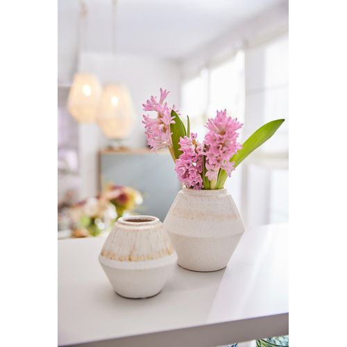 4019844737344 - Dekovase HOME AFFAIRE Vasen grün (hellgrün) Blumenvasen Vasen 4019844737344 - Dekovase HOME AFFAIRE Vasen grün (hellgrün) Blumenvasen Vasen