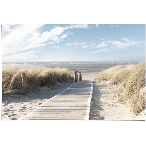 8714597520699 - Poster REINDERS Weg durch die Dünen grün (farbe bild(er) khaki) B915cm H61cm Papier Bilder