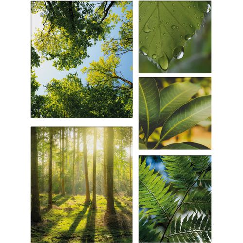 5011583372700 - Leinwandbild ART FOR THE HOME Pure Natur bunt (farbe bild(er) blau gruen) B60cm H100cm T25cm Bilder grüne Stille SET 5-teilig 80x60 cm