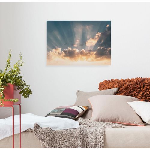 4055065031816 - Leinwandbild Keilrahmenbild - Enlightenment - Größe 60 x 40 cm Baum Berge Blumen Blätter Foto Jahreszeiten Landschaft Meer Natur Palmen Strand (Packung 1 St) 60x40 cm (Breite x Höhe) Keilrahmenbild bunt