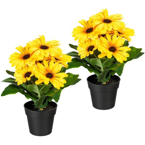 4064118841210 - Kunstpflanze MY HOME Elaine gelb B15cm H27cm Obermaterial 50% Kunststoff 50% Polyester Kunstpflanzen Künstliche Zimmerpflanze im Topf 2er Set 4064118841210 - Kunstpflanze MY HOME Elaine gelb B15cm H27cm Obermaterial 50% Kunststoff 50% Polyester Kunstpflanzen Künstliche Zimmerpflanze im Topf 2er Set