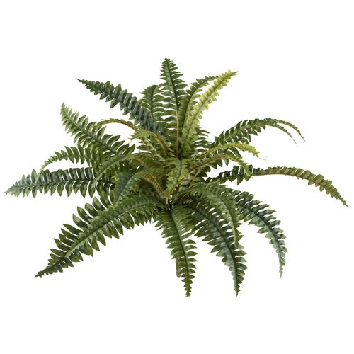 4064118242499 - Kunstpflanze CREATIV GREEN Bostonfarn grün H50cm Ø60cm Kunststoff Kunstpflanzen mit zahlreichen Farnwedeln