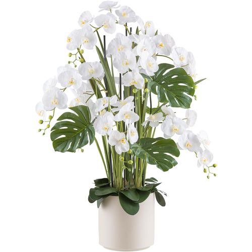 4064118240822 - Kunstorchidee CREATIV GREEN Orchidee Phalaenopsis beige (creme) Kunstpflanzen H 120cm Kunststoff mit Gräsern und Splitphilo-Blättern H120cm 4064118240822 - Kunstorchidee CREATIV GREEN Orchidee Phalaenopsis beige (creme) Kunstpflanzen H 120cm Kunststoff mit Gräsern und Splitphilo-Blättern H120cm
