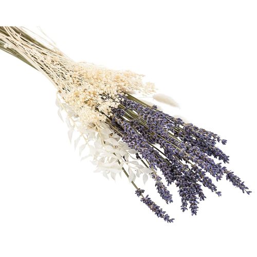4058896401711 - Trockenblumenmix flieder-weiß-natur