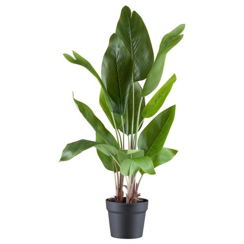 4064118250272 - P & B Kunstpflanze Grün Kunststoff 70 cm inkl Topf Dekoration Blumen & Zubehör Kunstpflanzen 4064118250272 - P & B Kunstpflanze Grün Kunststoff 70 cm inkl Topf Dekoration Blumen & Zubehör Kunstpflanzen