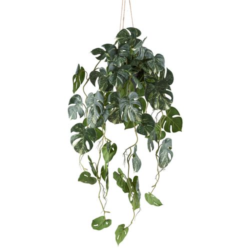 4064118242246 - Kunstpflanze CREATIV GREEN Philodendron varigata grün (grünweiß) H80cm Kunststoff Kunstpflanzen mit Hängetopf