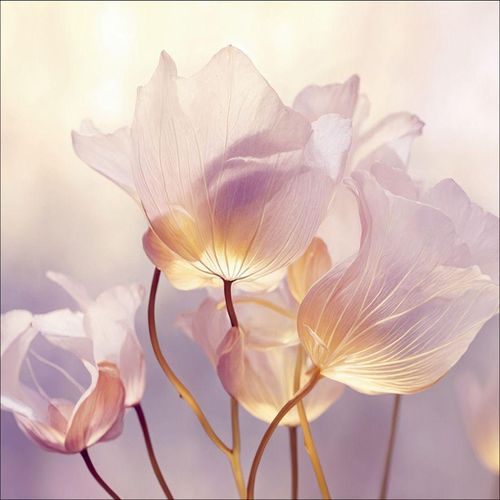 4019449530142 - Aludibondbild FLOWERS IX