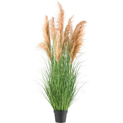 4064118241621 - Kunstgras CREATIV GREEN Schilfgras grün H165cm Kunststoff Kunstpflanzen mit täuschend echten Blüten 4064118241621 - Kunstgras CREATIV GREEN Schilfgras grün H165cm Kunststoff Kunstpflanzen mit täuschend echten Blüten