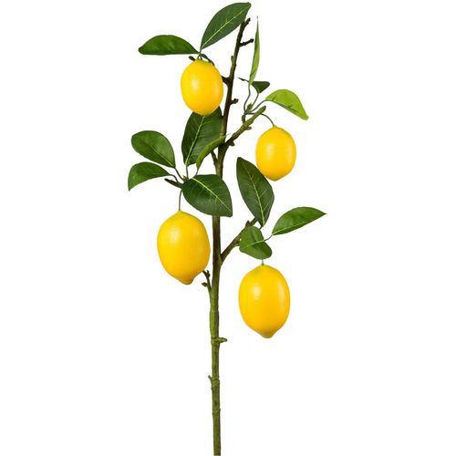 4064118353768 - Kunstzweig CREATIV GREEN Zitronenzweig grün H68cm Kunststoff Kunstpflanzen mit detailgetreuer Gestaltung