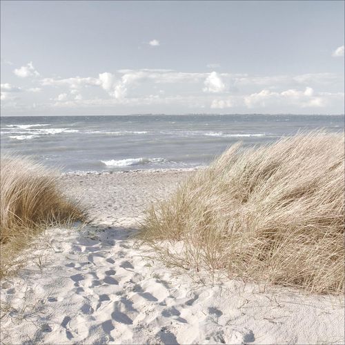 4019449372766 - PRO ART Glasbild OASE DER SINNE I (LB 20x20 cm) LB 20x20 cm bunt Acrylglasbild