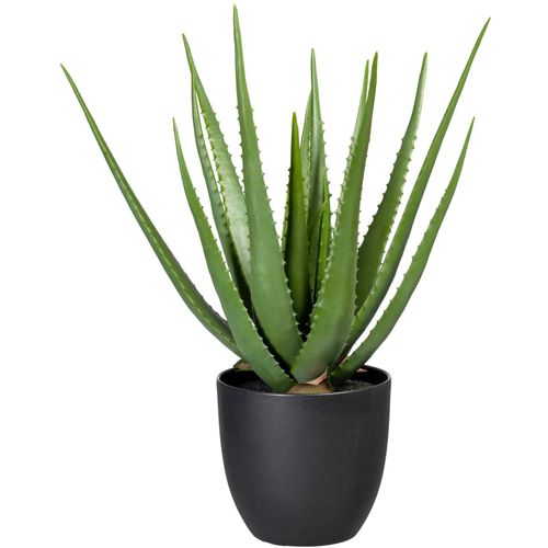 4064118968269 - Künstliche Zimmerpflanze CREATIV GREEN Aloe Kunstpflanzen Gr B H 22 cm x 55 cm 1 St grün Künstliche Zimmerpflanzen 4064118968269 - Künstliche Zimmerpflanze CREATIV GREEN Aloe Kunstpflanzen Gr B H 22 cm x 55 cm 1 St grün Künstliche Zimmerpflanzen