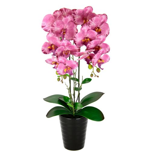 4019844790448 - Kunstblume IGEA Orchidee rosa (rosa muttertag ostern valentinstag vatertag weihnachten) B26cm H58cm L18cm Kunstpflanzen Im Topf Phalaenopsis Orchidee Phalaenopsis mit Übertopf Hochzeit 4019844790448 - Kunstblume IGEA Orchidee rosa (rosa muttertag ostern valentinstag vatertag weihnachten) B26cm H58cm L18cm Kunstpflanzen Im Topf Phalaenopsis Orchidee Phalaenopsis mit Übertopf Hochzeit