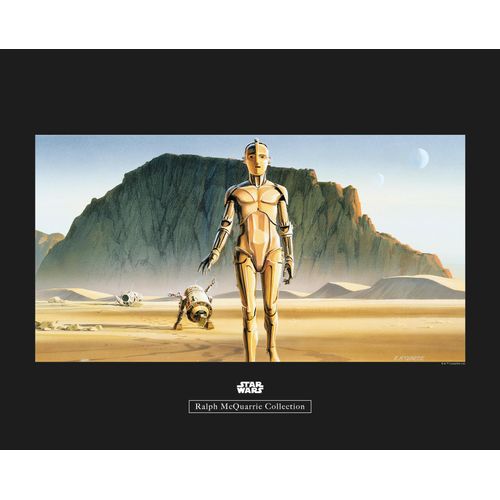 4055065163838 - Bild KOMAR Star Wars Classic RMQ Droids bunt (farbe bild(er) bunt) B50cm H40cm Holz Papier Bilder Wandbild zur Dekoration im Kinderzimmer - ohne Rahmen 4055065163838 - Bild KOMAR Star Wars Classic RMQ Droids bunt (farbe bild(er) bunt) B50cm H40cm Holz Papier Bilder Wandbild zur Dekoration im Kinderzimmer - ohne Rahmen