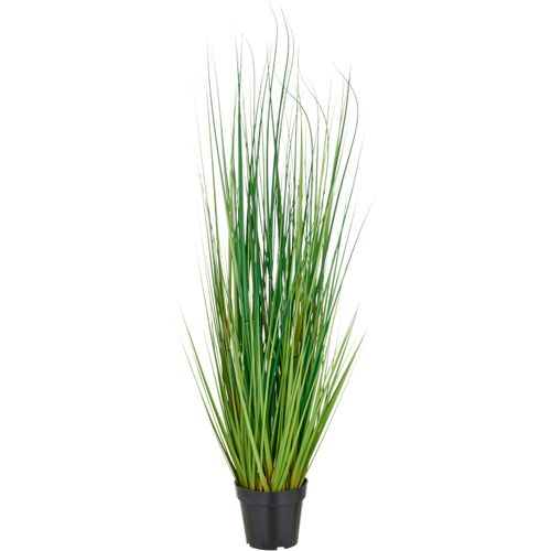 4064118325543 - Kunstgras CREATIV GREEN Grasbusch Miscanthus grün H115cm Kunststoff Kunstpflanzen mit naturgetreuen Grashalmen 4064118325543 - Kunstgras CREATIV GREEN Grasbusch Miscanthus grün H115cm Kunststoff Kunstpflanzen mit naturgetreuen Grashalmen