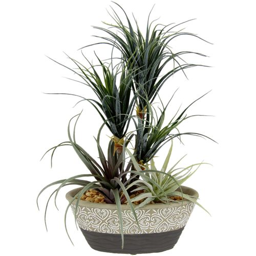 4019844761820 - Kunstpflanze IGEA Dracena Tillandsia Kunstpflanzen Gr B H L 23 cm x 31 cm x 18 cm grün Künstliche Zimmerpflanzen Im Übertopf aus Keramik
