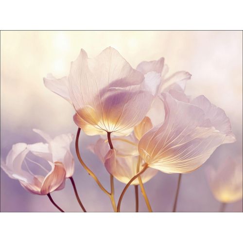 4019449529757 - Glasbild FLOWERS IX 4019449529757 - Glasbild FLOWERS IX