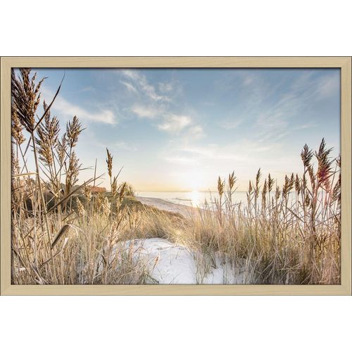 4019449478468 - Gerahmtes Bild WILDER STRAND