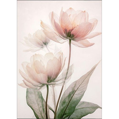 4019449530050 - Aludibondbild FLOWERS X