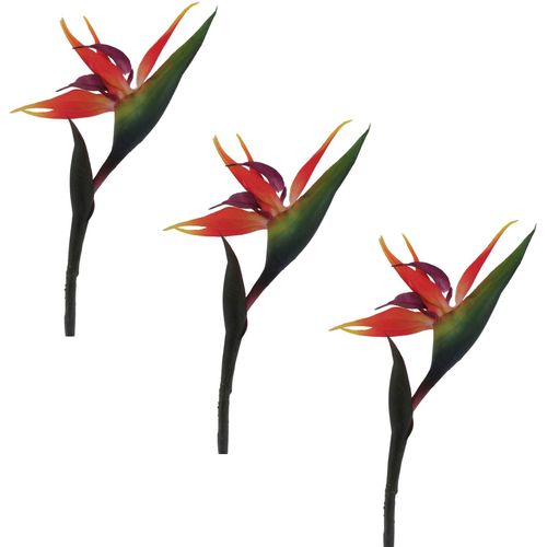 4064118895831 - Kunstblume CREATIV GREEN Strelizie Kunstpflanzen Gr B H 25 cm x 83 cm 3 St bunt Kunst-Blumen im 3er Set 4064118895831 - Kunstblume CREATIV GREEN Strelizie Kunstpflanzen Gr B H 25 cm x 83 cm 3 St bunt Kunst-Blumen im 3er Set