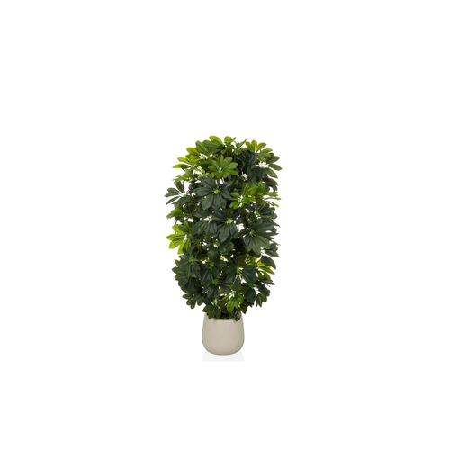 4064323108573 - Kunstpflanze Schefflera 2 Kunststoff Eisen 4064323108573 - Kunstpflanze Schefflera 2 Kunststoff Eisen