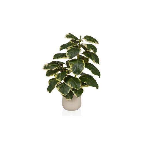 4064323108566 - Kunstpflanze Ficus 3 Kunststoff Eisen