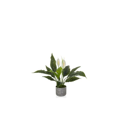 4064323108580 - Kunstpflanze Spathiphyllum 1 Kunststoff